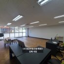 최강부동산중개 이미지