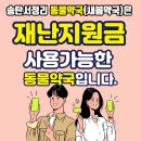 송탄 서정리 동물약국 이미지