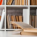 성암동패총 이미지