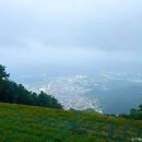 제방안길 이미지