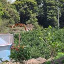 해도농장 이미지