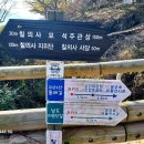 칠의사 이미지