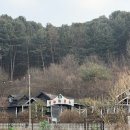 에덴행복하우스 | 경기도 가평 | 옛 감성 가득 복층 통나무집[트리하우스] T6 숙박 후기