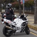 드라곤모터스 이미지