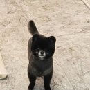 똘이살롱 이미지