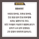 양진한의원 네이버블로그