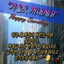 서초대로50길 63 이미지