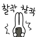 도구로 112 이미지