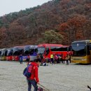 금산로 삼거리 네이버블로그