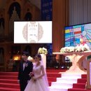 임마누엘헤어 이미지