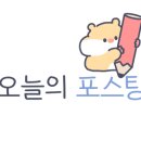 레그나나폴리 이미지