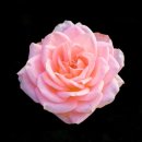 원도안로-27 이미지