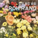 꽃선물 하기 좋은 합정꽃집 로랑 엄마 꽃다발 후기