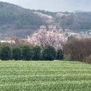 연분홍민박 이미지