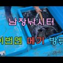 남창낚시터 이미지