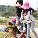 광주북초교 이미지