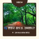 김해 가볼 만한 곳! 분성산 생태숲 황톳길 맨발걷기 후기 🌿👣 (이용 시간·주차 정보 총정리)