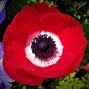 동우행정사합동사무소 이미지