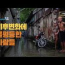 한국환경통계정보학회 이미지