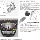 프로남성컷트 이미지