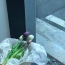 도마남창점 | [울산 카페] 온양/남창 예쁘고 깔끔한 카페 '바랑'