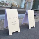 리뷰 / 반려동물 제품과 서비스 ‘나의 소중한 오늘’