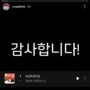 히요네일 이미지