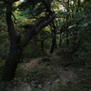 고산골 2 이미지