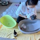 영주시보건소 | 영주 산후도우미(마미편한세상)