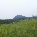 아화초 천촌분교 Daum카페