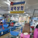 새댁상회 이미지