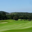 (주)캐슬렉스제주 이미지