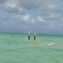 Guam Day2 괌 비키니아일랜드 마린팩 이용후기