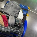 독일인학교 | 학생] !입독! 프랑크푸르트공항 우버, 택시타고 숙소 / ICE 기차타고 오스나브뤼크로 / 루프트한자 후기