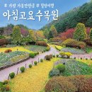 움갤러리 입구(구길) | 가평 가볼만한곳 아침고요수목원 봄꽃페스타 먹을거리 카페 주차장