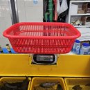 탐라새우 이미지