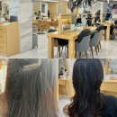 수원VIP 실버케어 | 수원역 저렴한 미용실 추천 헤어다이아 수원역점 중단발 레이어드컷 두피케어 후기