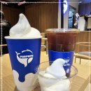 맛파파