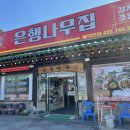 본가은행나무집 이미지