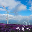 별,바람,꽃길 이미지