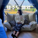 제주도 여행 펜션 애월 글램핑장 별헤는밤 후기