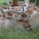 인술명인한의원 이미지