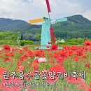 2025 원주 용수골 꽃 양귀비 축제 1일차 후기 기본정보 입장료 주차장