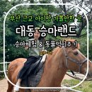 대동 승마랜드 솔직후기 - 부산 근교 아이랑 승마체험 동물 먹이주기