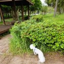 산책가개 이미지