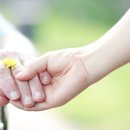 (의료법인)실로암안과병원 이미지