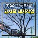 송우고등학교 &#34;고사목제거작업&#34; 조경 시공작업 공사 - 청송조경 [서울,경기,의정부,남양주,포천,강원도...