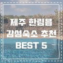 스테이 겨를 이미지