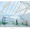 한들중학교 | [Wedding 11] 본식스냅(제이몬드)이랑 함께하는 이라운지 결혼식후기
