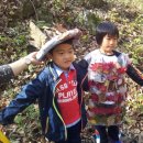 소양초병설유치원 이미지